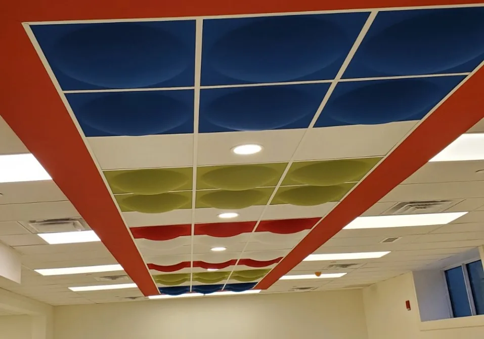 Beamsville GYM custom made dropped ceiling