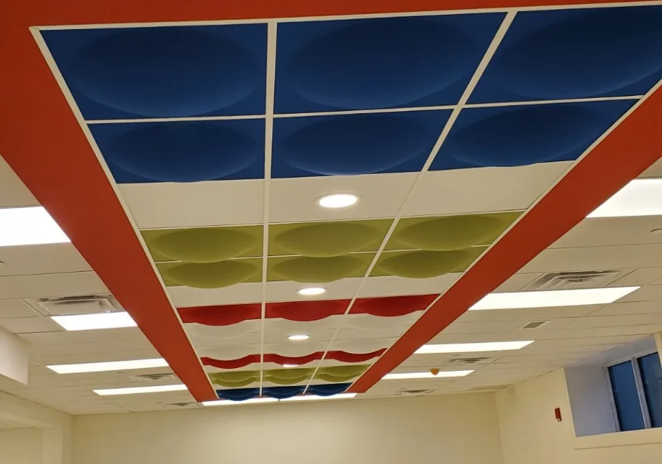 Beamsville GYM custom made dropped ceiling